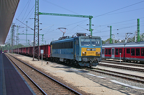 DSCN2898